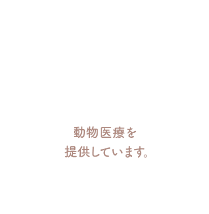 動物医療を提供しています。